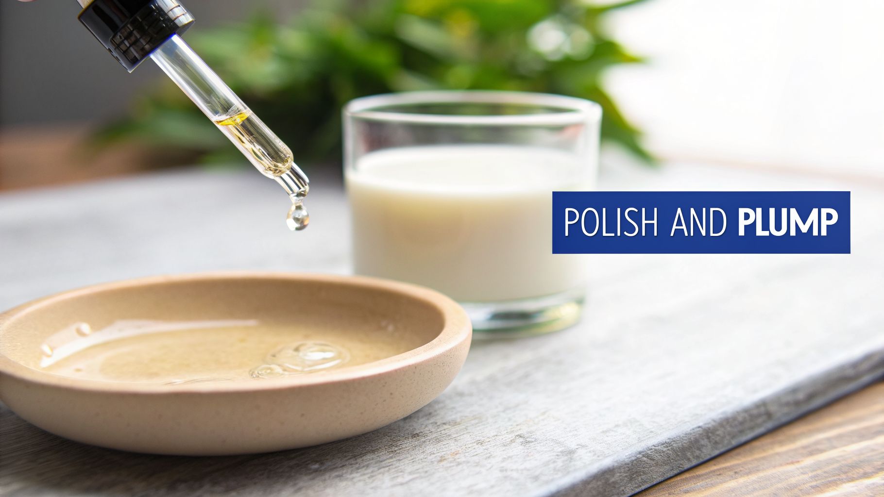 A dropper dispenses a golden liquid into a small beige bowl, with a glass of milk in the background and a 'Polish and Plump' banner.